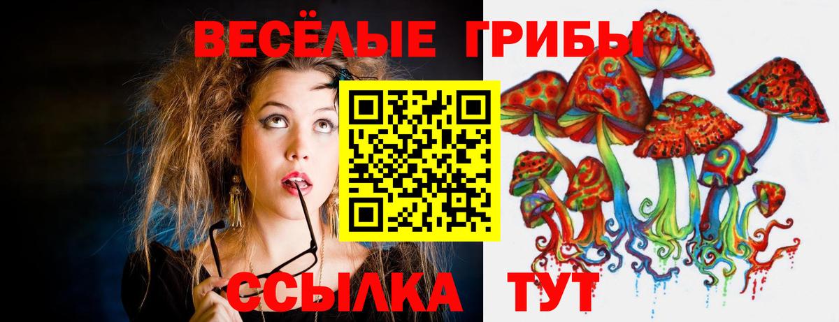 наркота  Псилоцибиновые грибы ЛСД  Вход с VPN  Видное 