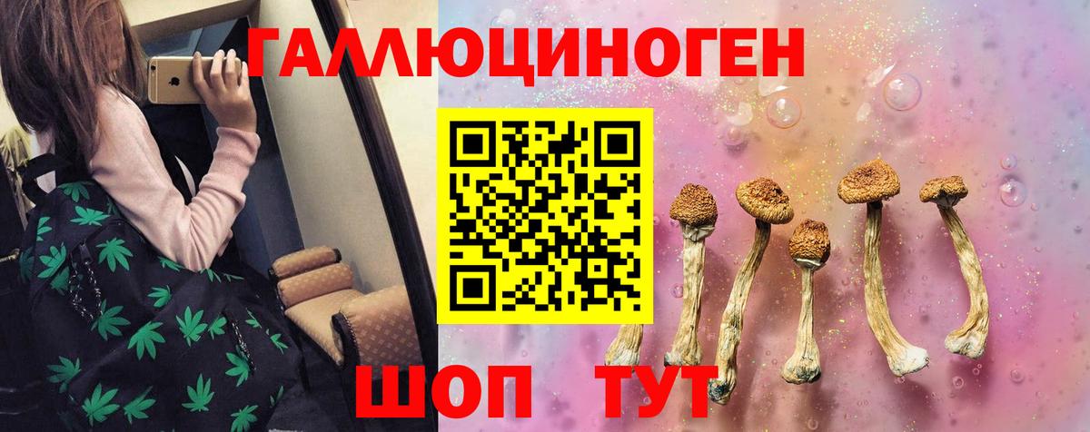 Галлюциногенные грибы мицелий Видное